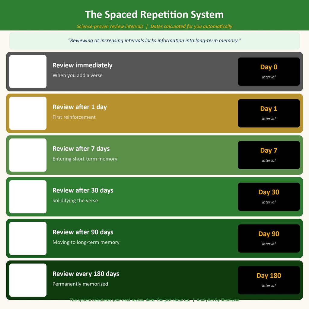Scripture Memory Google Sheets | Bible Memorization Tracker | Spaced Repetition | Memory Verse System | Christian Homeschool