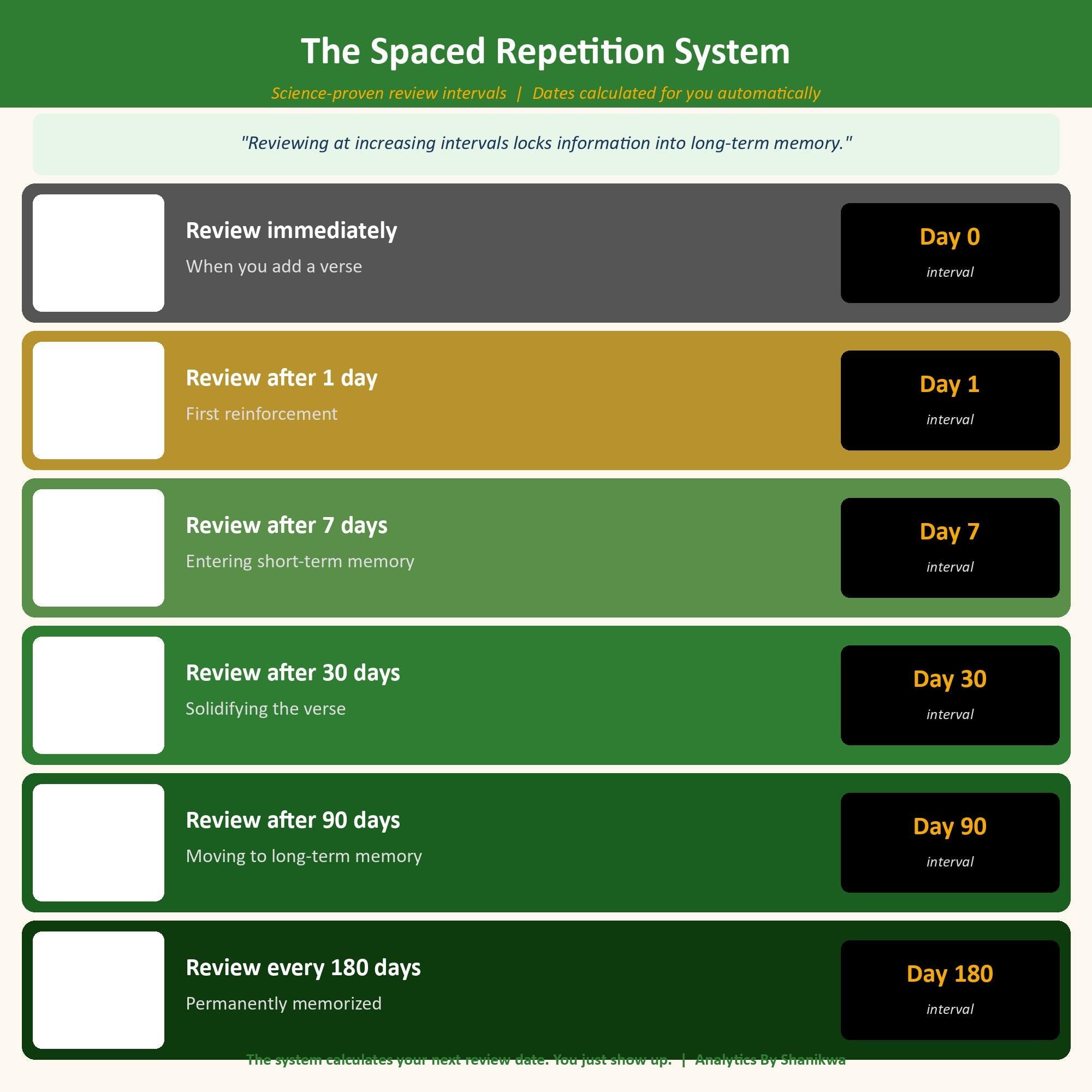 Scripture Memory Google Sheets | Bible Memorization Tracker | Spaced Repetition | Memory Verse System | Christian Homeschool